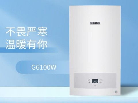 博世6100國產版